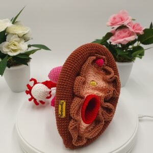 Modelo Anatómico del Sistema Reproductor Femenino con Órganos Desmontables